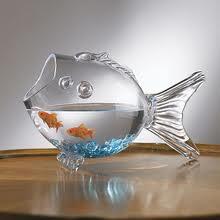 Goldfish-Bowl.jpg