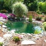 10 Quick Tips On Setting Up Your Goldfish Pond!
