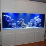 How To Choose The Best Aquarium Stand
