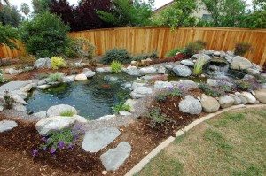 best pond liner for a small pond