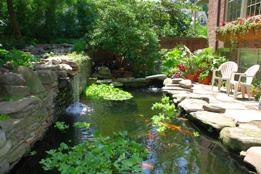 Building a Koi Pond or Garden Pond | How to take care of goldfish