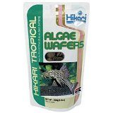 power packed protein supplement for goldfish and algae eaters