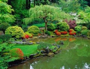 Planning Your fish pond