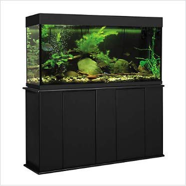 best aquarium stand for 55 gallon fish tank