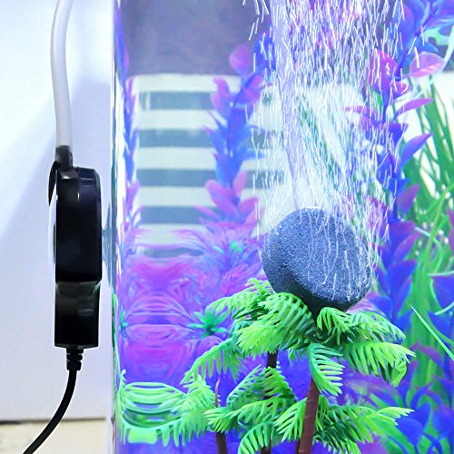 visual of an ultra quiet aquarium air pump set up